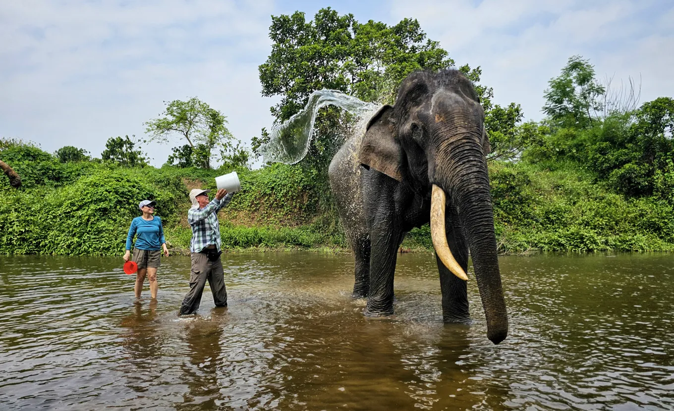 Dak Lak Ethical Elephant Experience