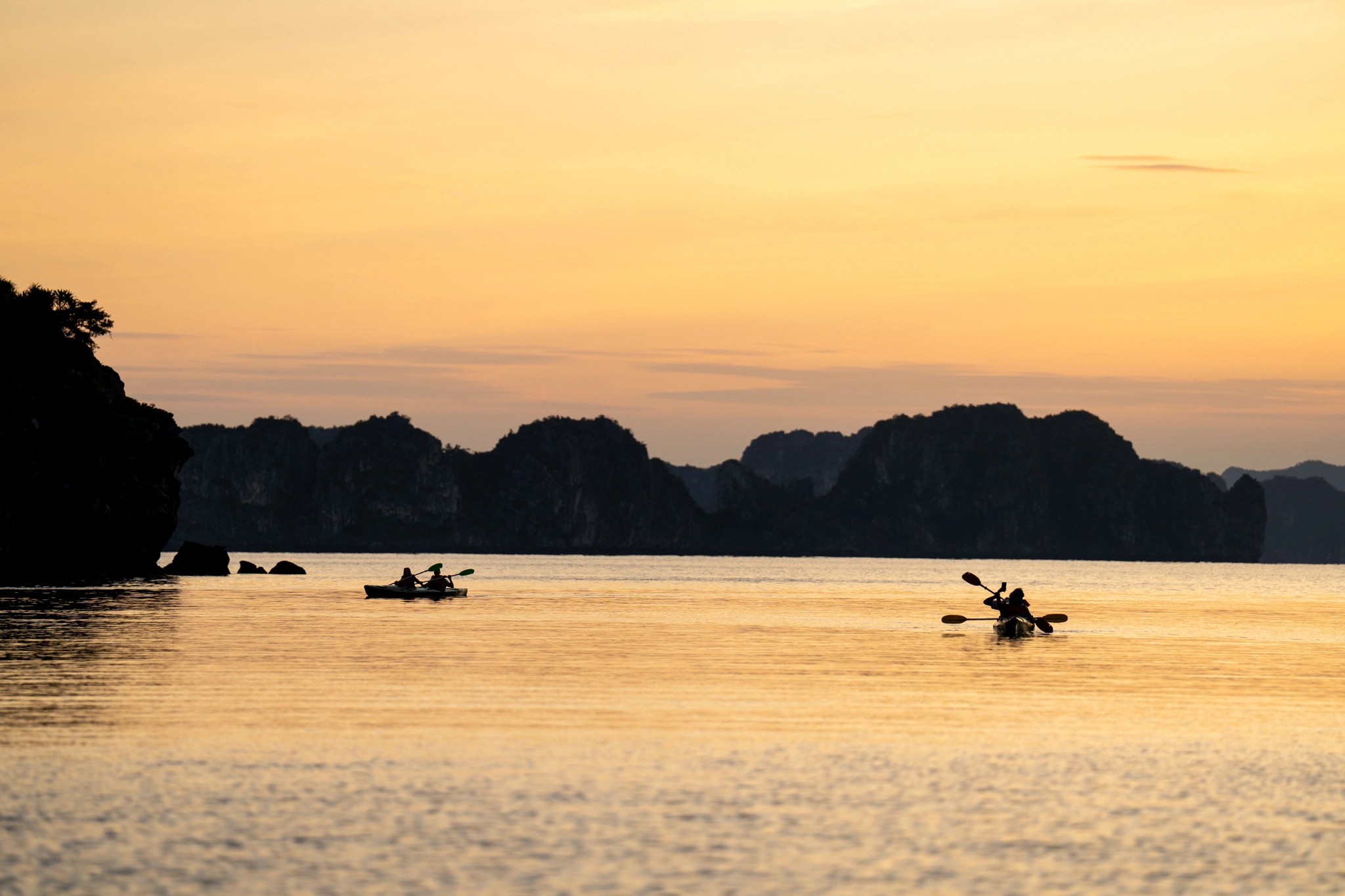 cycad cruise - kayak