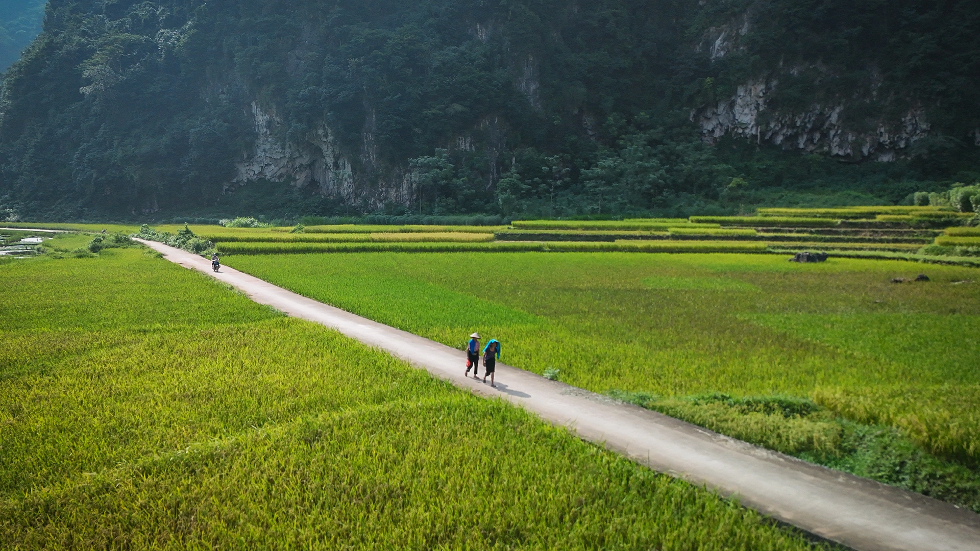 Mai Chau FHD