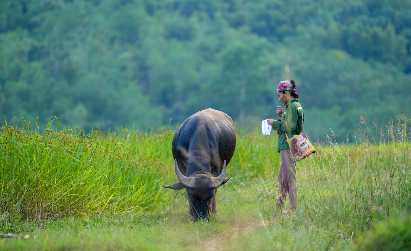 Ban Bang Mai Chau