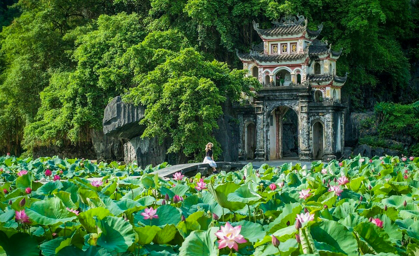 Bich Dong - Tam Coc (non copyright)