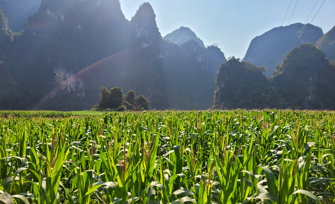 Trekking Huu Lung