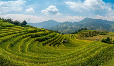 Gran recorrido por Vietnam - de norte a sur - naturaleza, cultura y playa