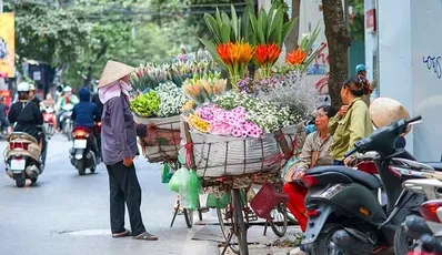 Lo más destacado del norte y centro de Vietnam | Paquete turístico auténtico