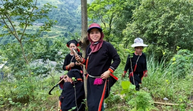 Circuit trekking nord-est Vietnam: Hoang Su Phi, Ha Giang