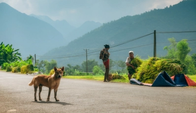 Echtes Vietnam: Ethnische Kultur, Natur und Wahres Leben