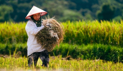 Leyendas de Vietnam: de Saigón a Hanói