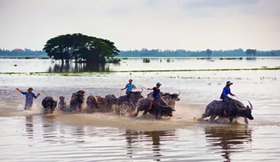 Das wirkliche Leben im Mekong-Delta: Cai Be - Sa Dec - Long Xuyen - Tra Su - Chau Doc