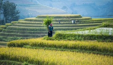 Da Hanoi a Saigon: Grande avventura del Vietnam | Tour autentico