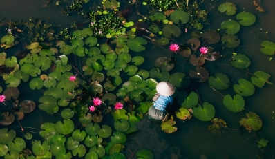 Vietnam Panorama: From Tonkin to the Mekong