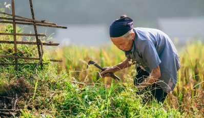 Authentisches Nordvietnam