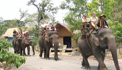 Balade en téléphérique & à dos d'éléphant à Dalat