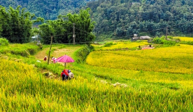 Meilleur du Nord du Vietnam: Sapa & Baie d'Halong