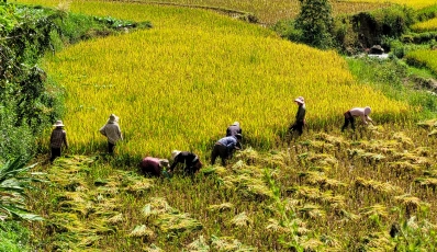 Excursion de 3 jours à Sapa - Bus depuis Hanoi