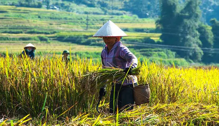 Discover North Vietnam from West to East