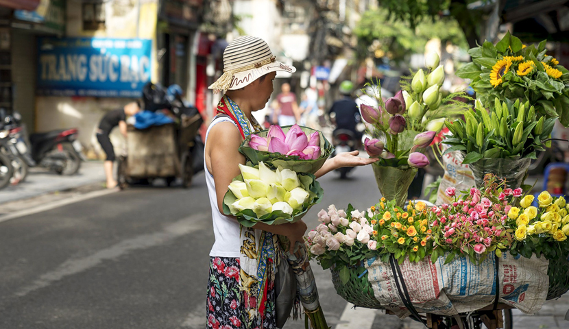 Recorrido por la ciudad de Hanoi de medio día (tarde)