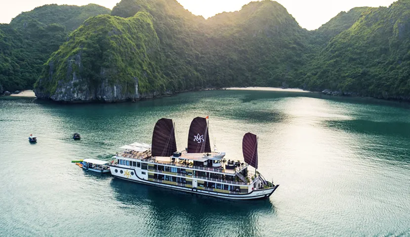 Orchid Classic Cruise | Lan Ha Bay 3 days 2 nights