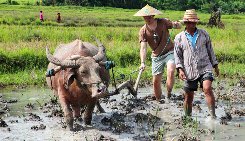 Luang Prabang's Treasures: Waterfalls, Caves & Culture