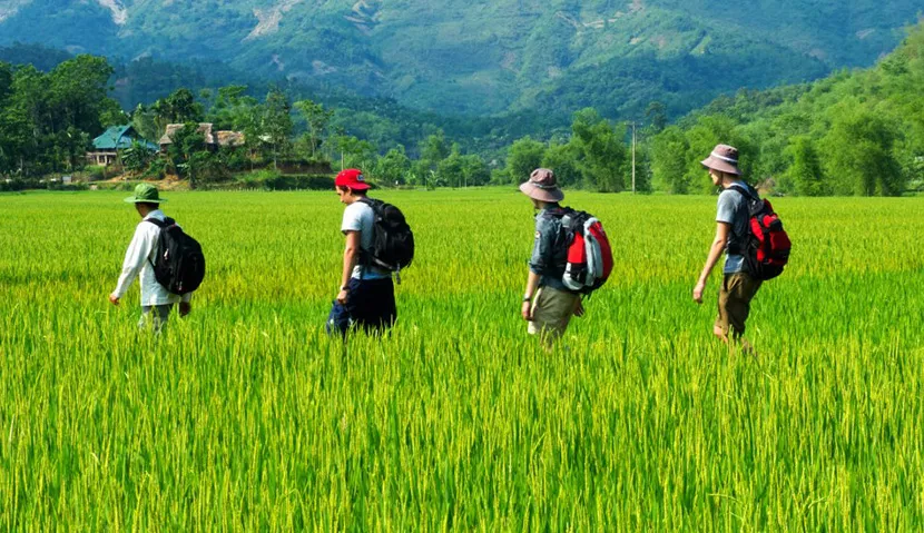 Des rizières en terrasse de Pu Luong jusqu'à la baie d'Halong