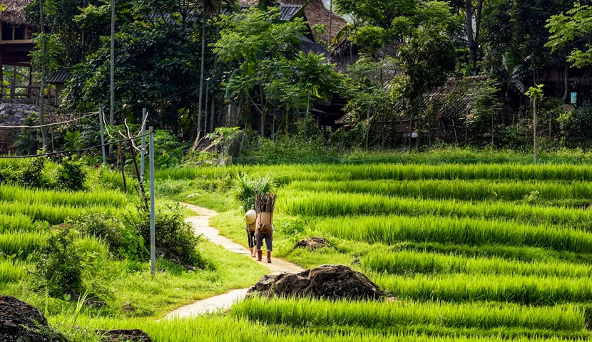 Grand Vietnam: From the Red River to the Mekong’s Heart