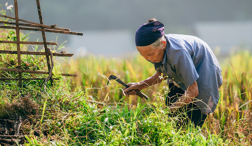 Vietn&atilde; do Norte Aut&ecirc;ntico