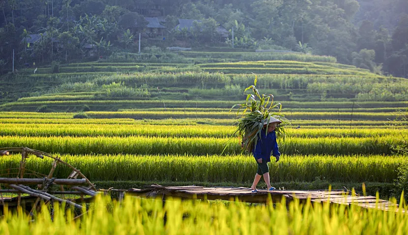 Paisagens e pessoas do Norte e Centro do Vietnã | Viagem autêntica 