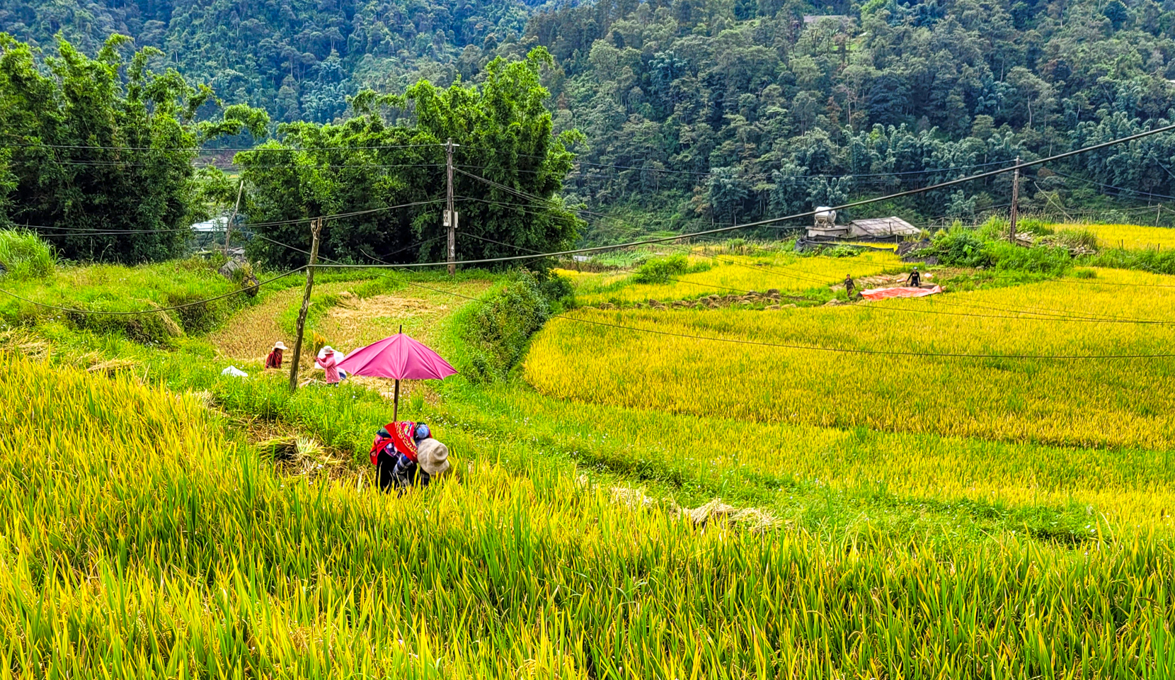 Beste von Nordvietnam: Sapa & Halong-Bucht