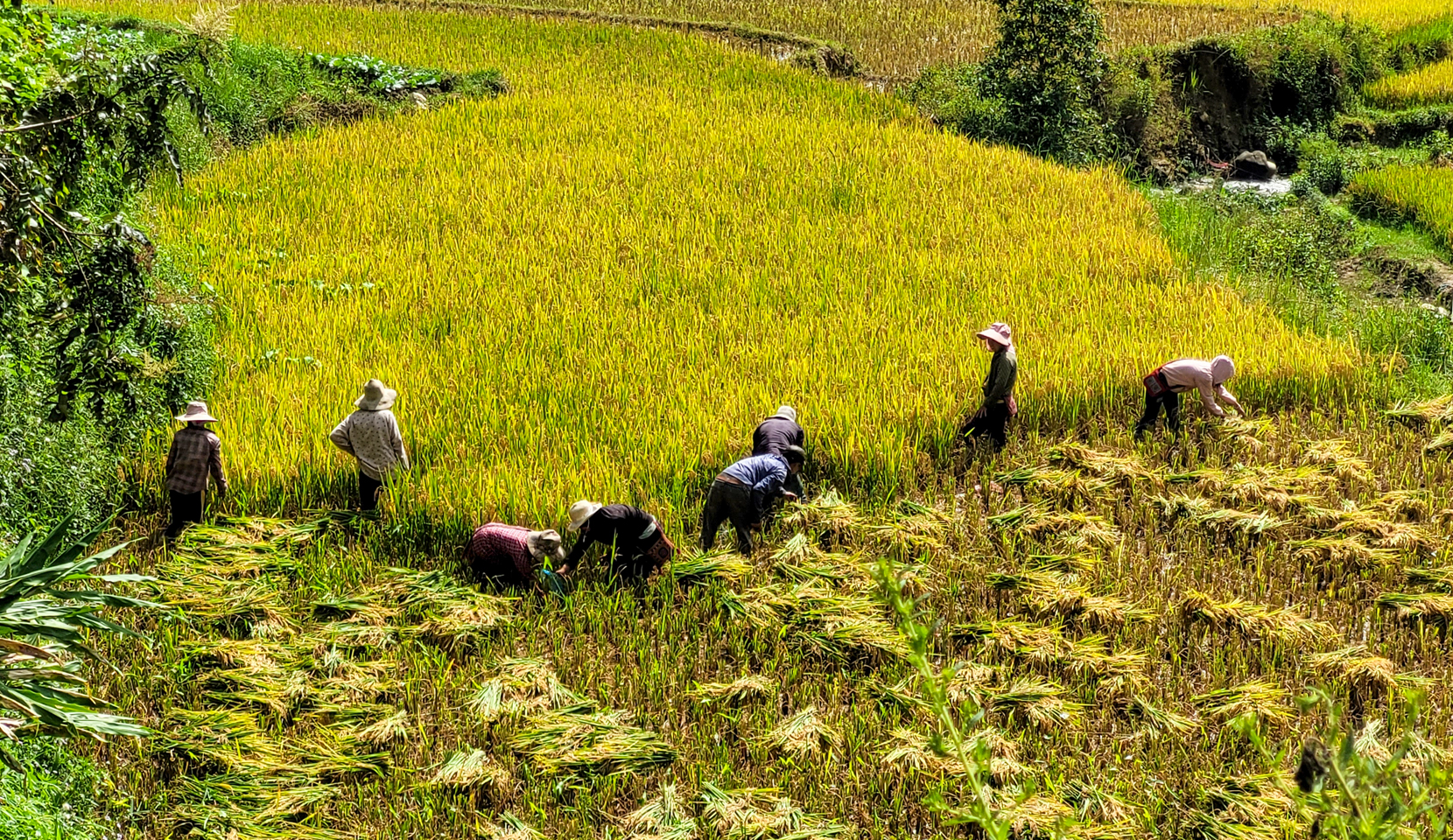 Vietnam en Profundidad: Riquezas y Maravillas Naturales